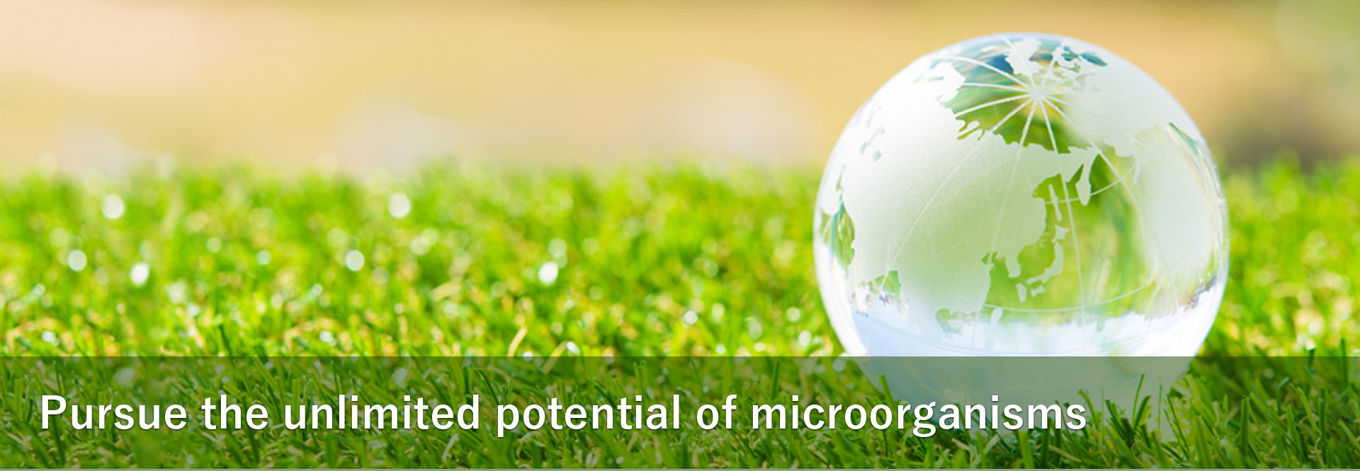 Pursue the unlimited potential of microorganisms