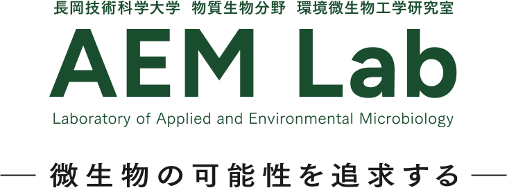 AEM Lab