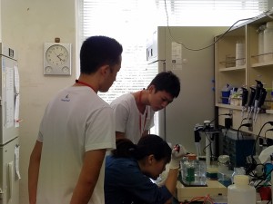 学生アシスタント指導のもと、SDS-PAGEを用いたタンパク質の分離実験を体験している様子