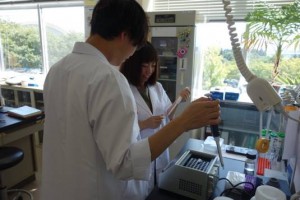 修士学生に酵素の活性測定を教わります。酵素の力を実感しました。