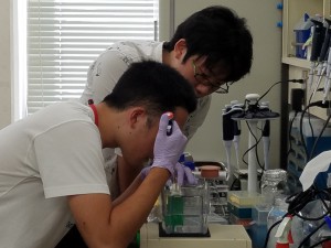 オープンハウス20170901_142545