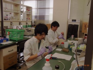 RNA抽出方法を実際に体験し、学んでいる様子