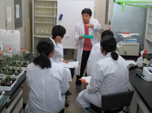 植物エピジェネティクス工学研究室 「植物の遺伝子解析」