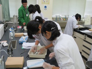 野生動物管理工学研究室 「野生動物学への誘い」